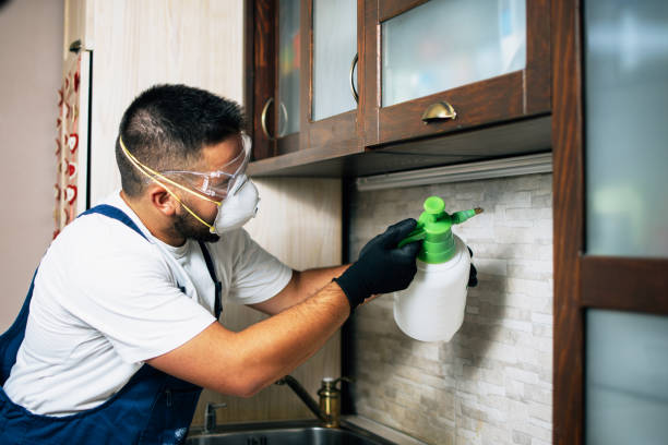 Professional Pest Control in Bridgewater, VA