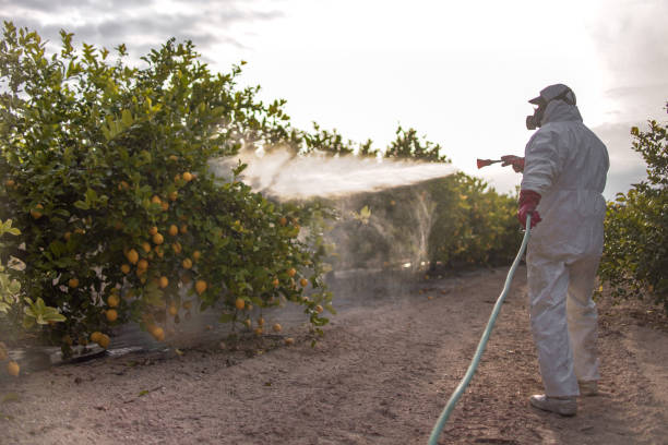Best Bed Bug Extermination  in Bridgewater, VA