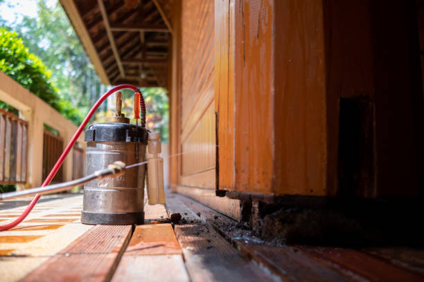 Best Best Pest Control Companies  in Bridgewater, VA