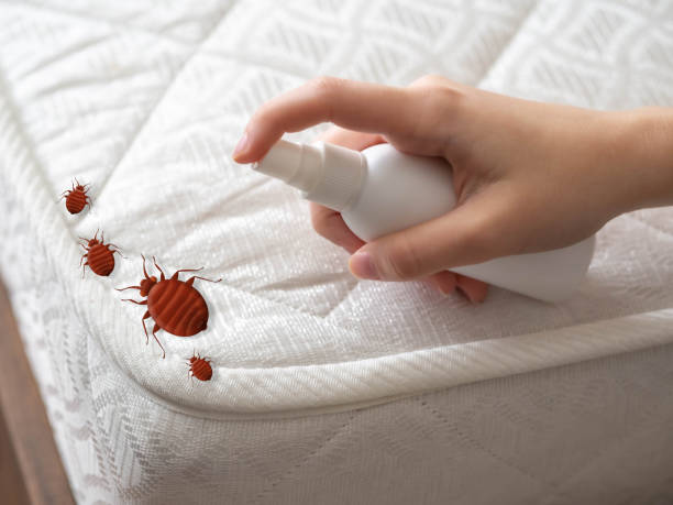 Best Pest Control for Businesses  in Bridgewater, VA